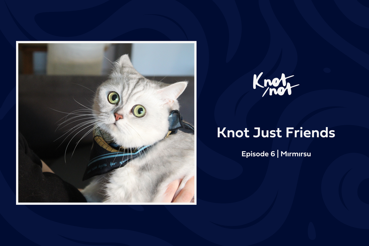 Knot Just Friends #6 | Mırmırsu