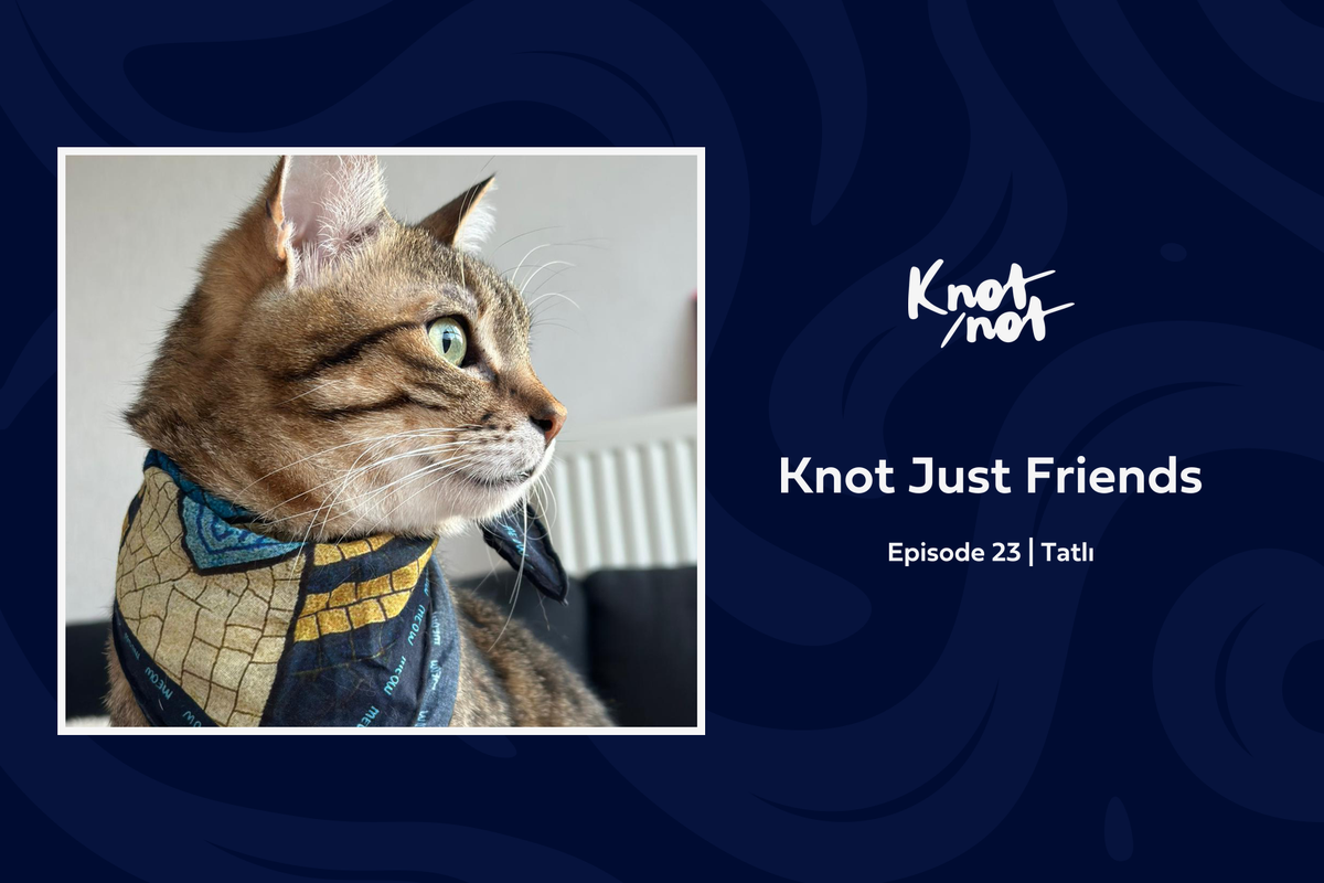 Knot Just Friends #23 | Tatlı