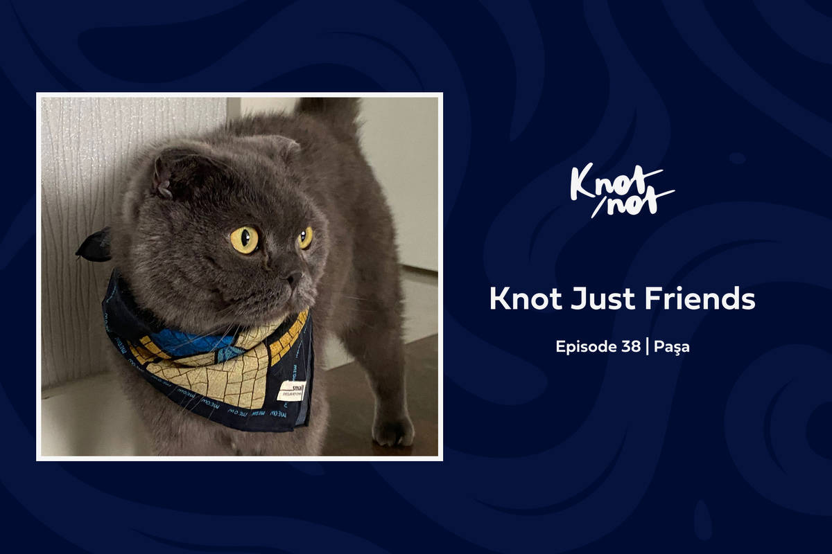 Knot Just Friends #38 | Paşa