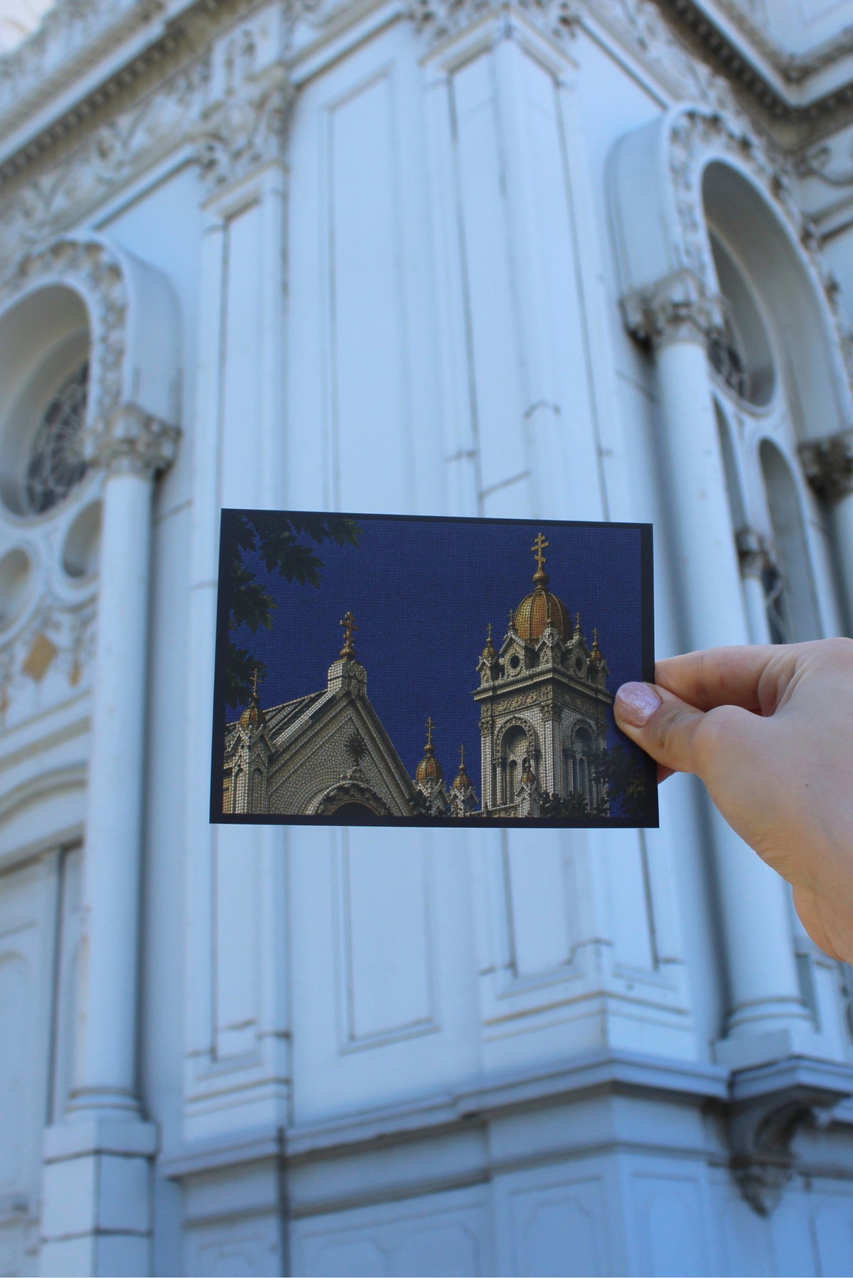 FIELD COMPANION: GOLDEN HORN