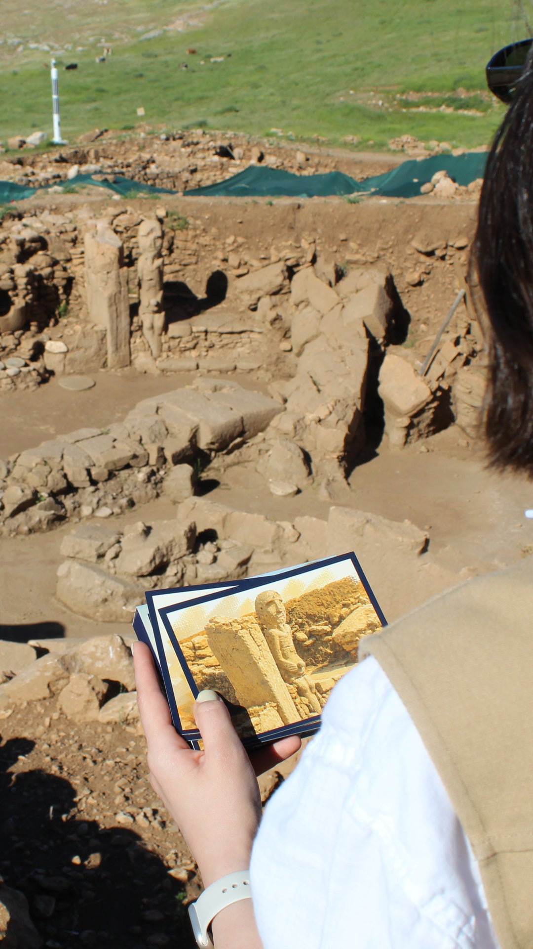 FIELD COMPANION: STONE MOUNDS - Shoppable 3