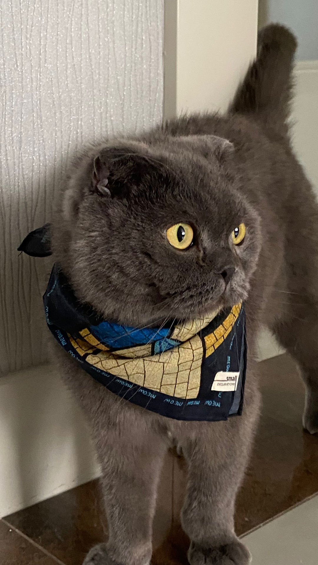 SIDE BY SIDE: MEOW - Shoppable 6