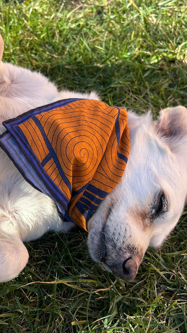 SIDE BY SIDE: WOOF - Shoppable 4